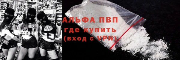 шишки Осинники