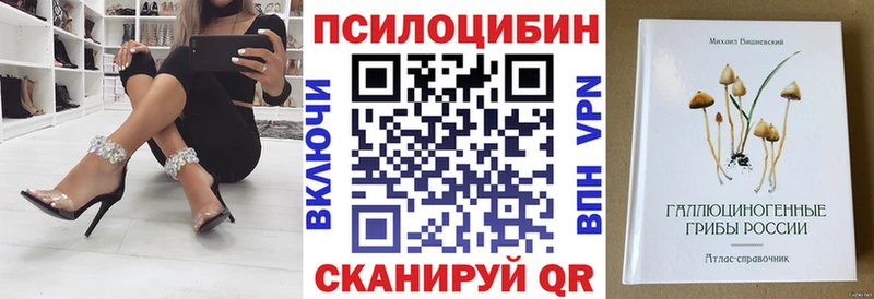blacksprut ТОР Инта Псилоцибиновые грибы Psilocybe